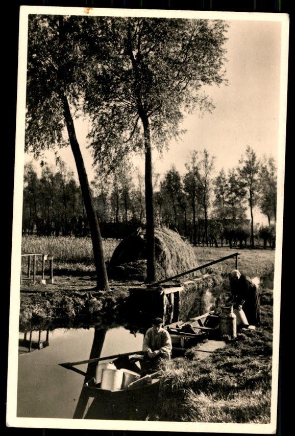 kaart
