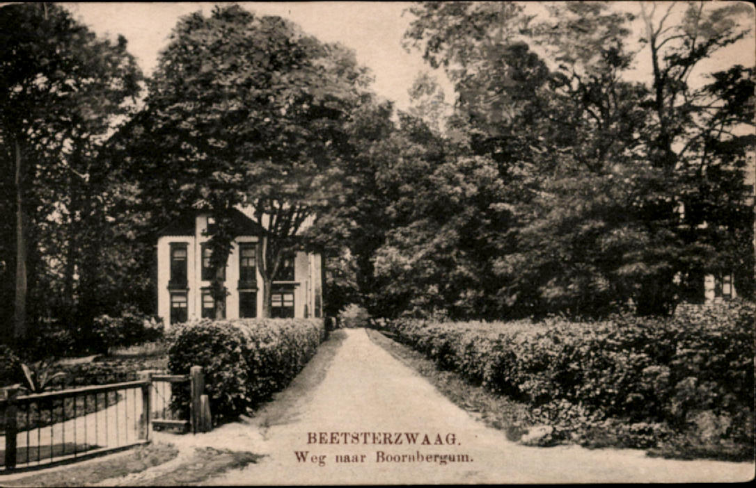 kaart