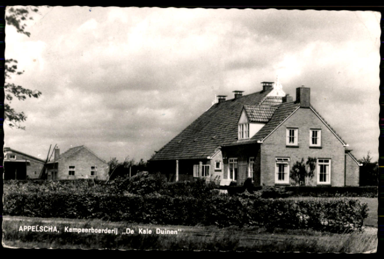 kaart