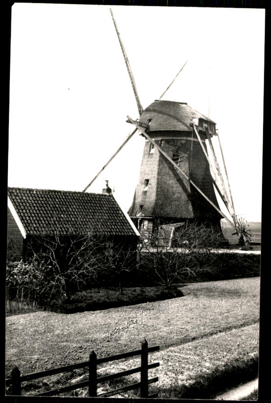 kaart