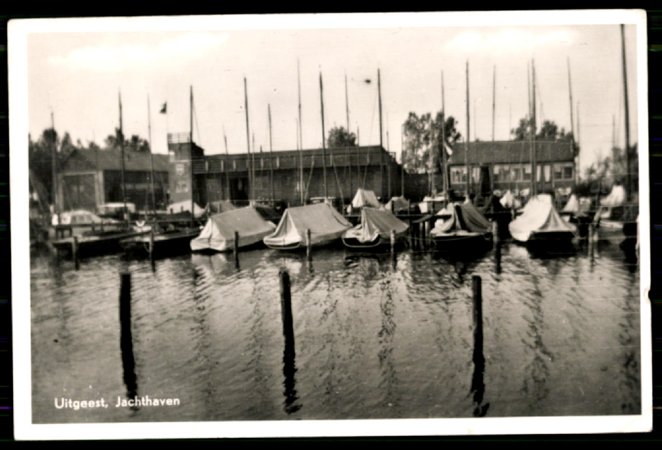 kaart