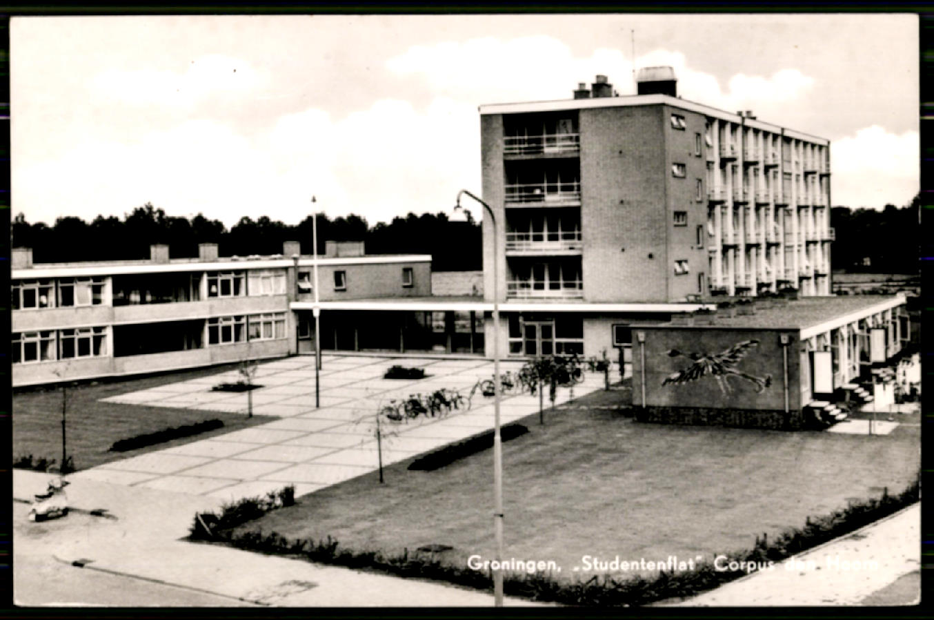 kaart