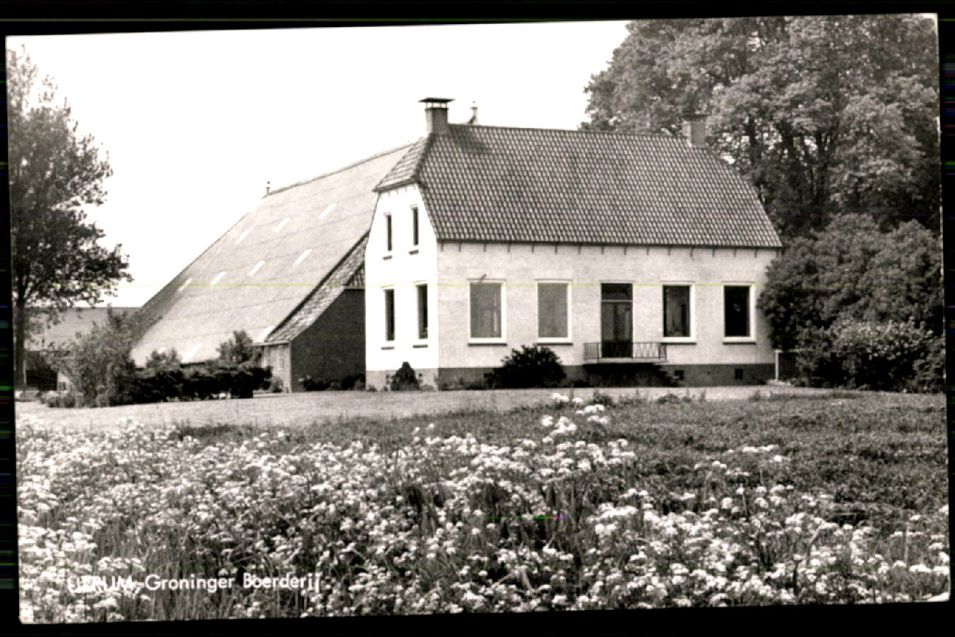 kaart