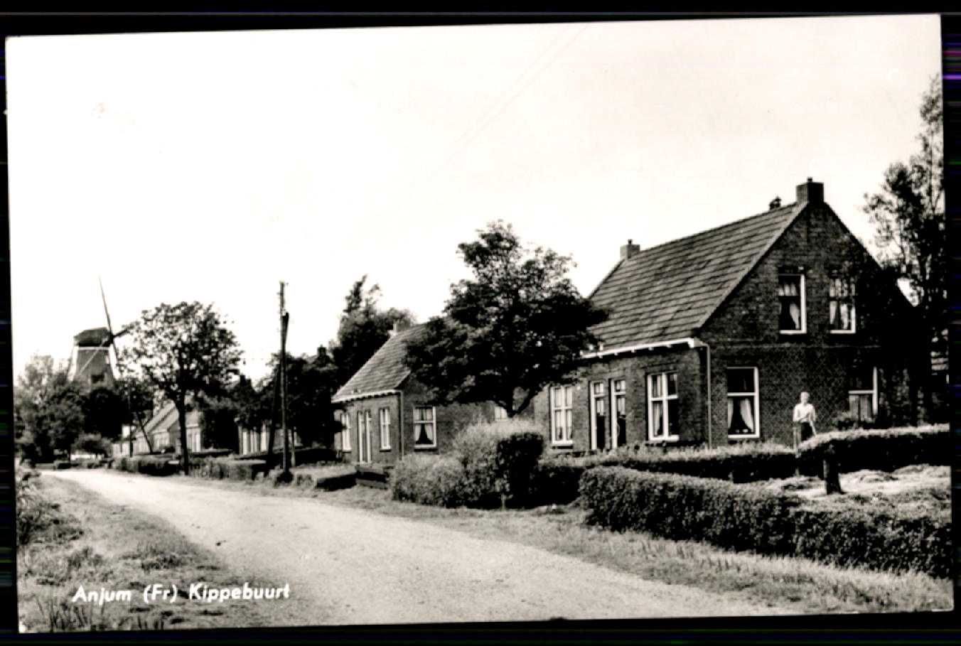 kaart