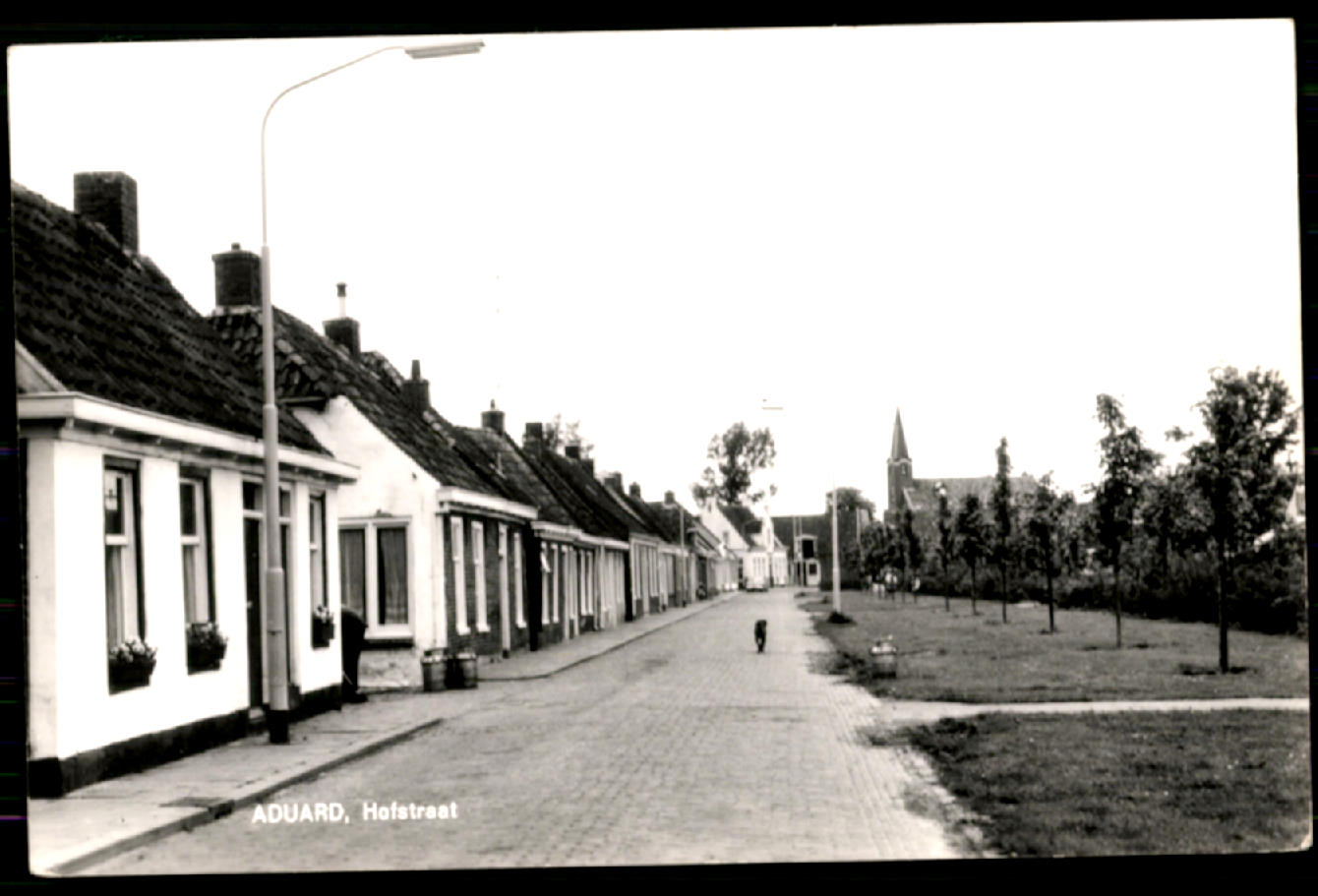 kaart