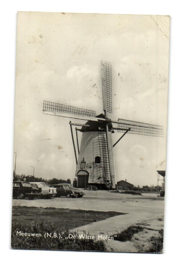 kaart