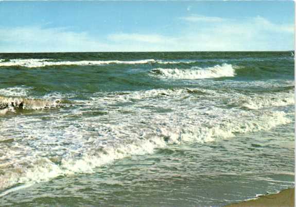 kaart