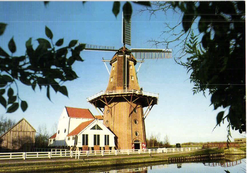 kaart