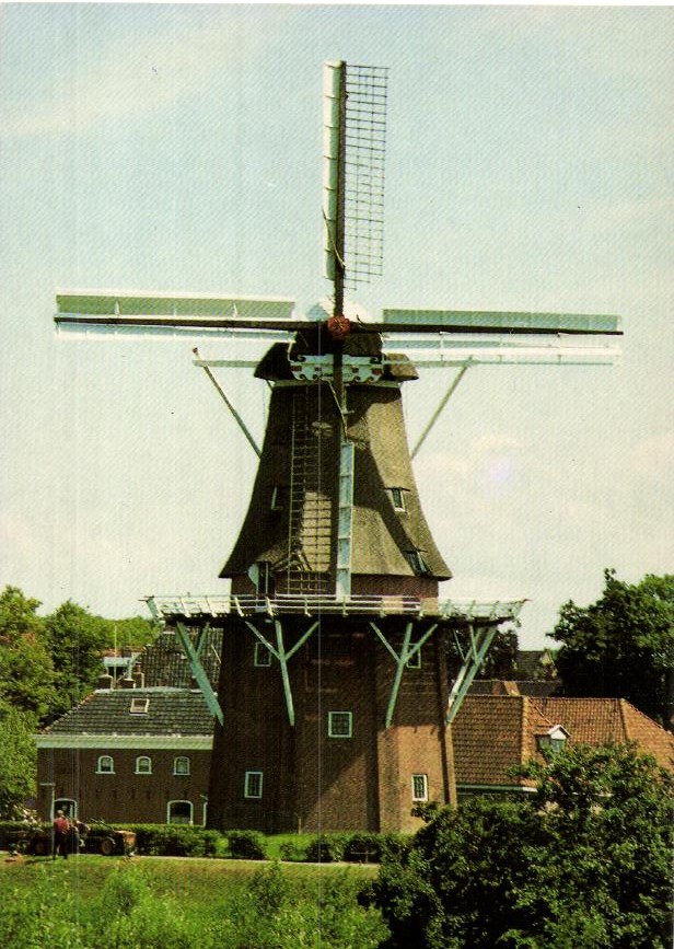 kaart