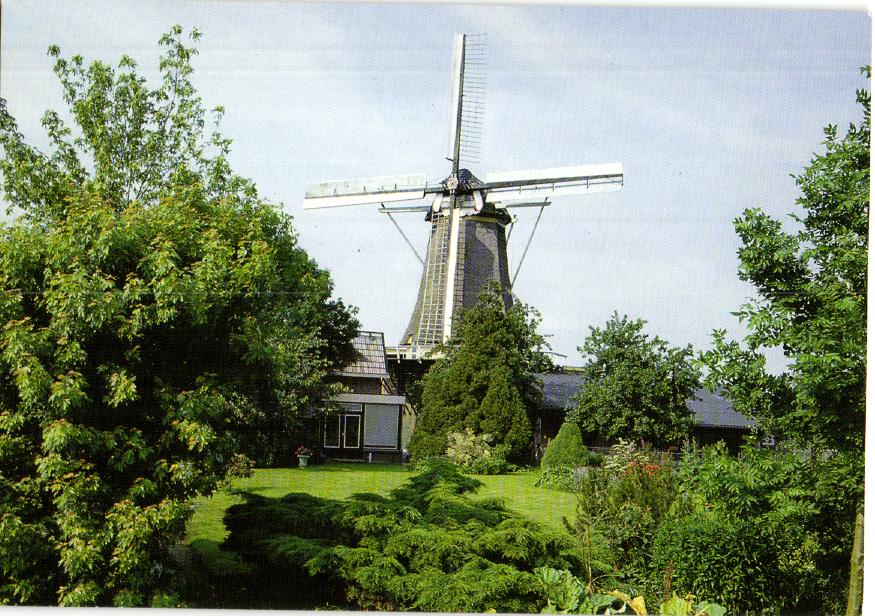 kaart